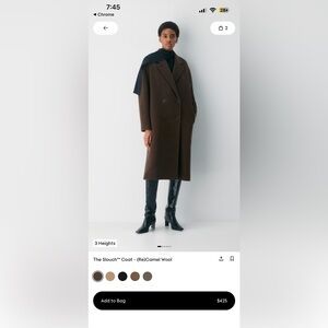 Aritzia midi length slouch coat